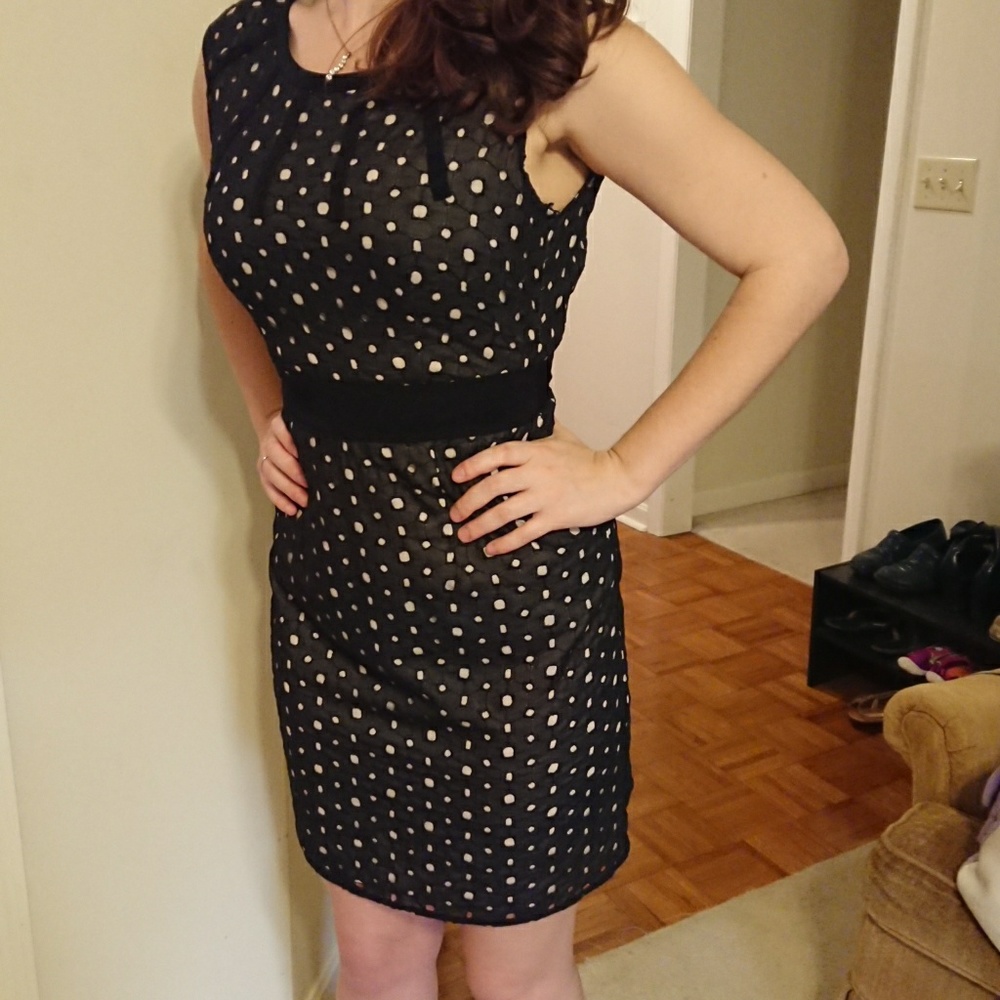 The Limited Fit & Flare Black Eyelet Dress